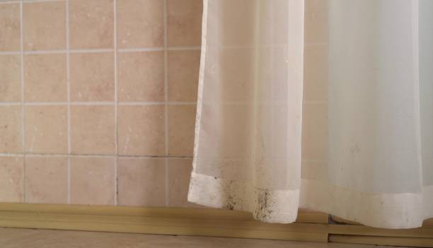 Best Indoor Air Quality Assessment  in El Mirage, AZ