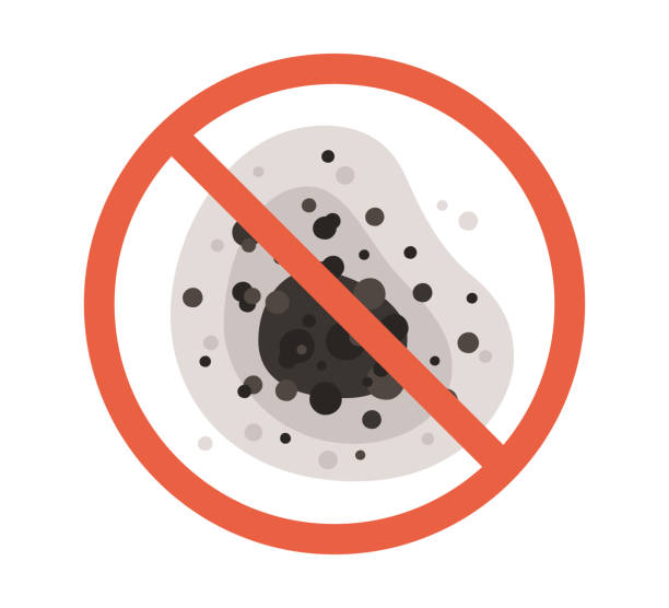  El Mirage, AZ Mold Removal Pros