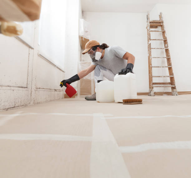 Mold Documentation for Insurance Claims in El Mirage, AZ